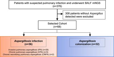 Clinical performance of metagenomic next-generation sequencing for diagnosis of pulmonary Aspergillus infection and colonization